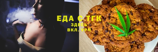 индика Алексин