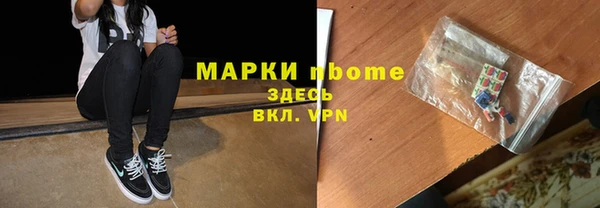 индика Алексин
