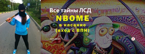 индика Алексин
