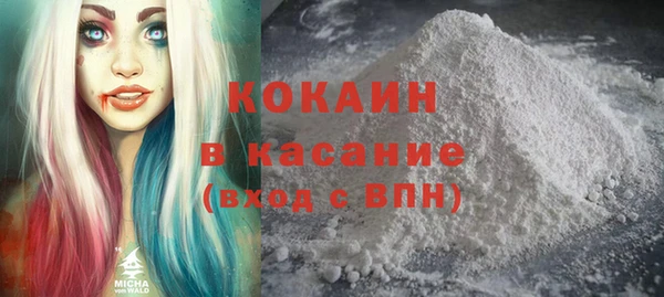 индика Алексин