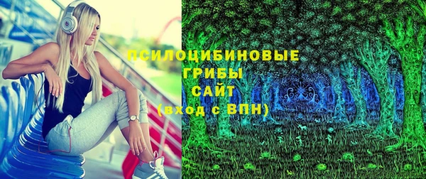 2c-b Алзамай