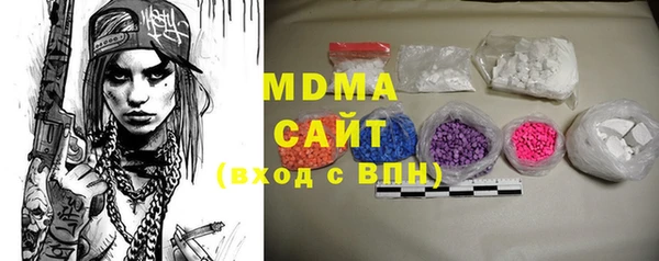индика Алексин