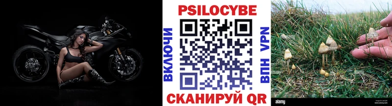 Галлюциногенные грибы мицелий  где купить наркоту  Перевоз 